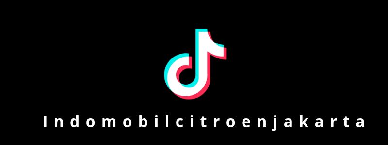 Logo TikTok Citroen 